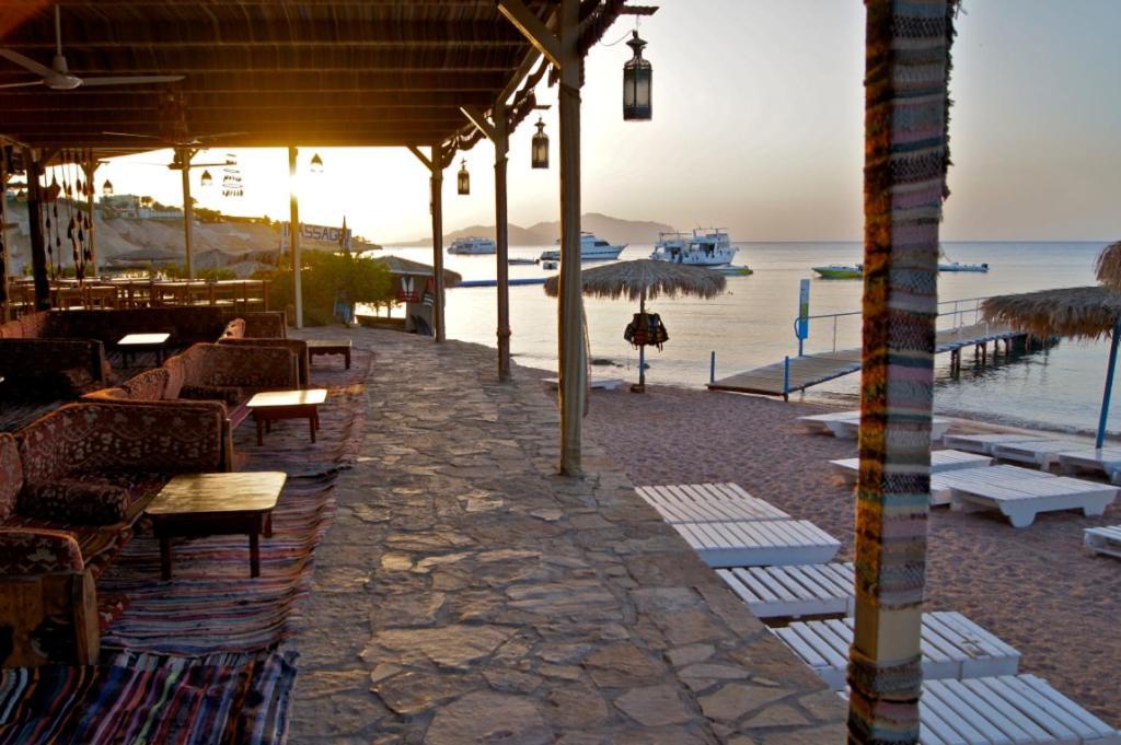 Umbi Sharks Bay Diving Village Шарм-еш-Шейх Екстер'єр фото
