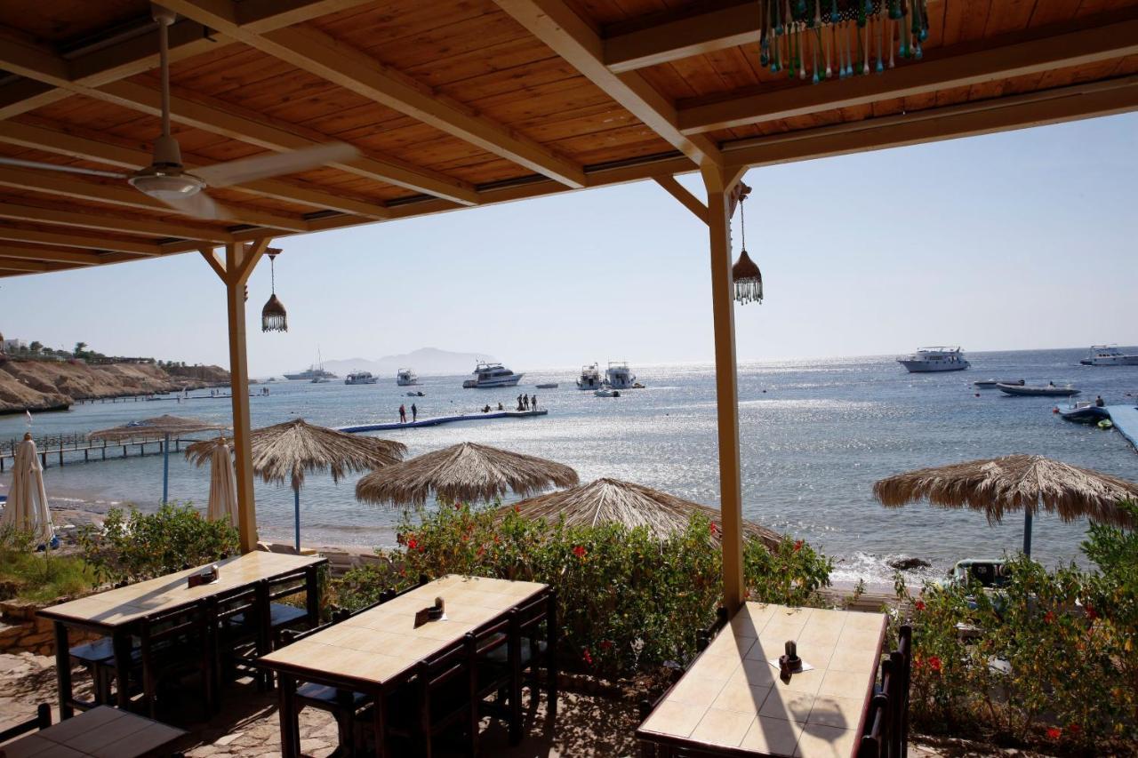 Umbi Sharks Bay Diving Village Шарм-еш-Шейх Екстер'єр фото