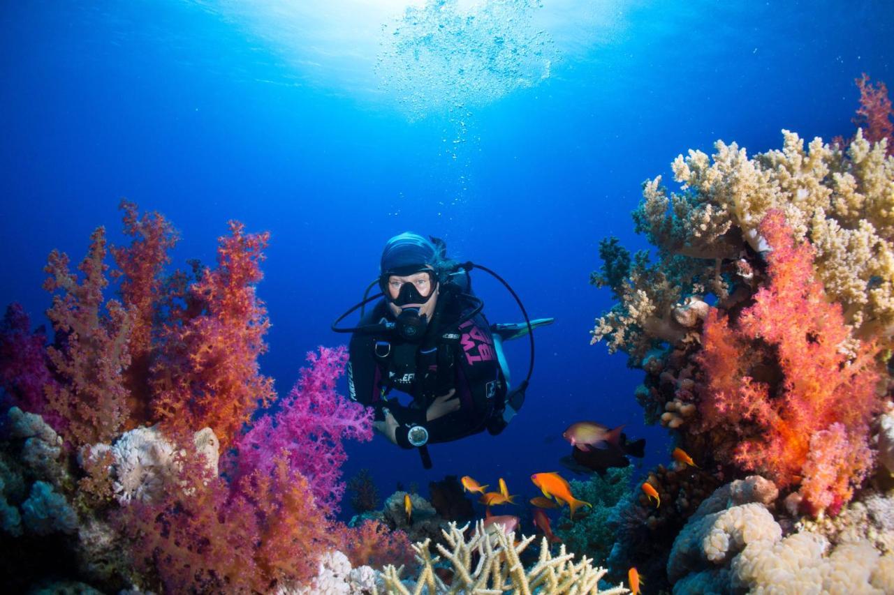 Umbi Sharks Bay Diving Village Шарм-еш-Шейх Екстер'єр фото