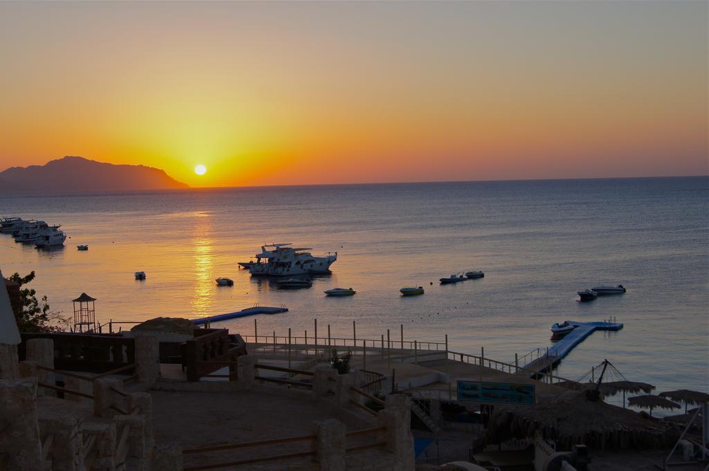 Umbi Sharks Bay Diving Village Шарм-еш-Шейх Екстер'єр фото