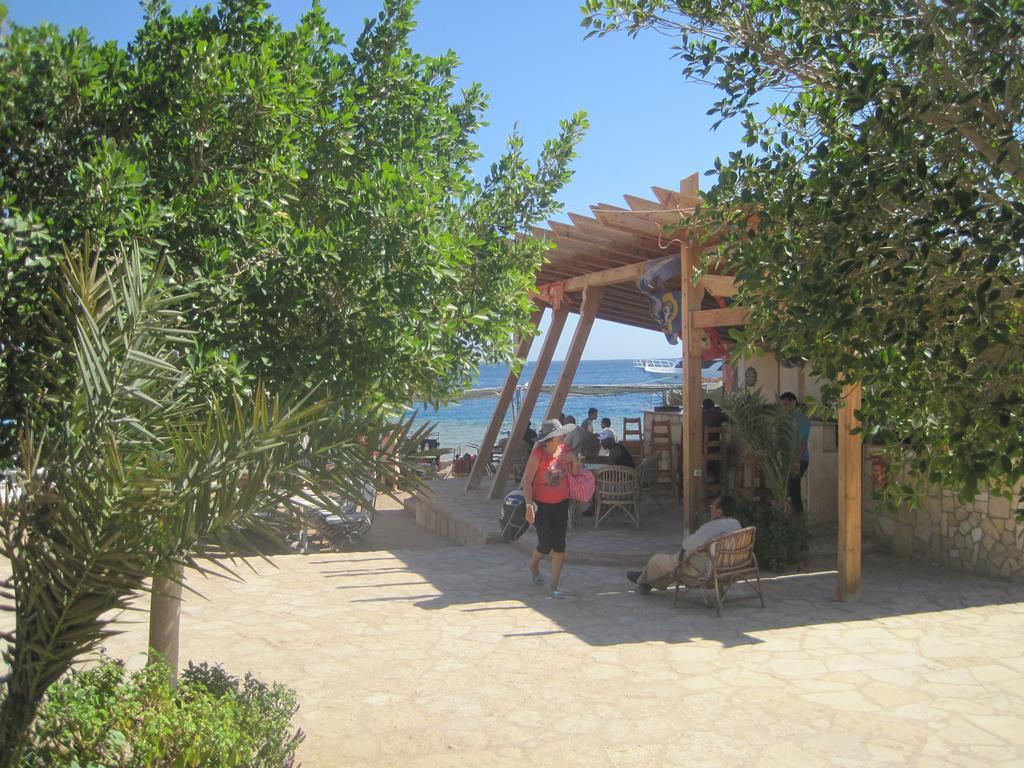 Umbi Sharks Bay Diving Village Шарм-еш-Шейх Екстер'єр фото