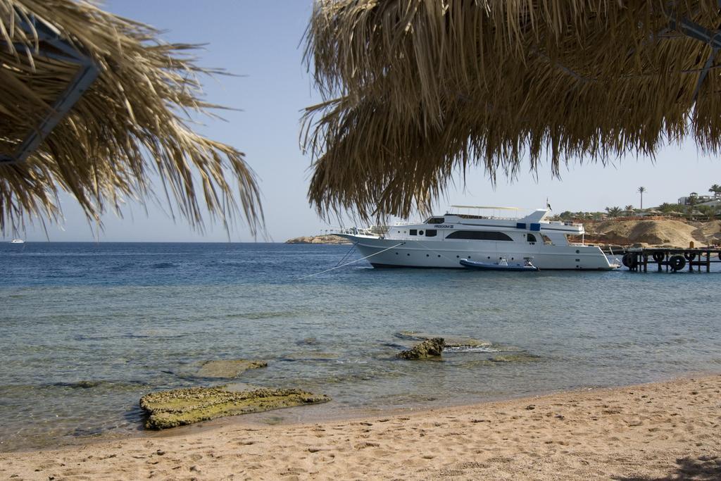 Umbi Sharks Bay Diving Village Шарм-еш-Шейх Екстер'єр фото