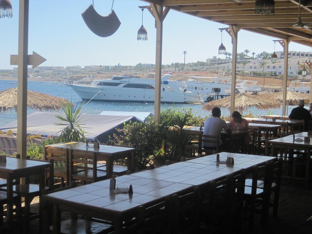 Umbi Sharks Bay Diving Village Шарм-еш-Шейх Екстер'єр фото