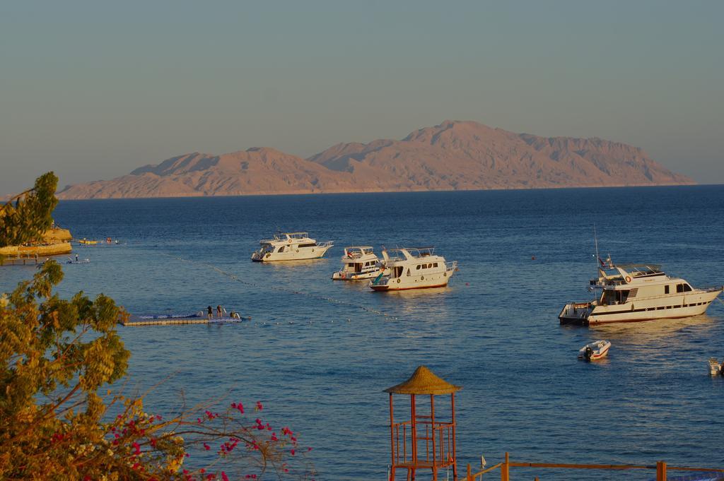 Umbi Sharks Bay Diving Village Шарм-еш-Шейх Екстер'єр фото