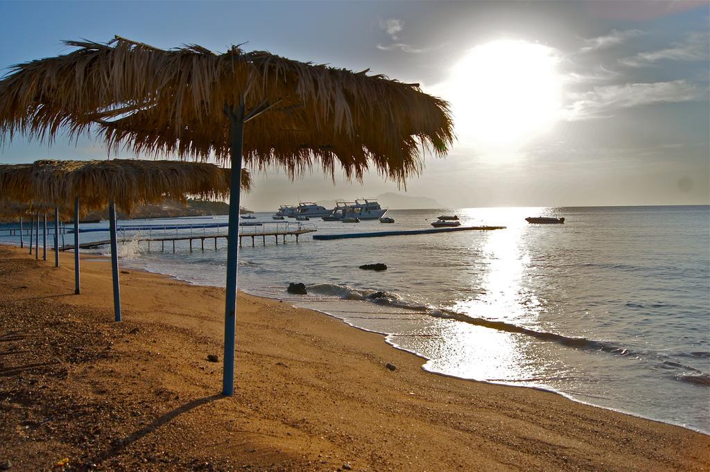 Umbi Sharks Bay Diving Village Шарм-еш-Шейх Екстер'єр фото