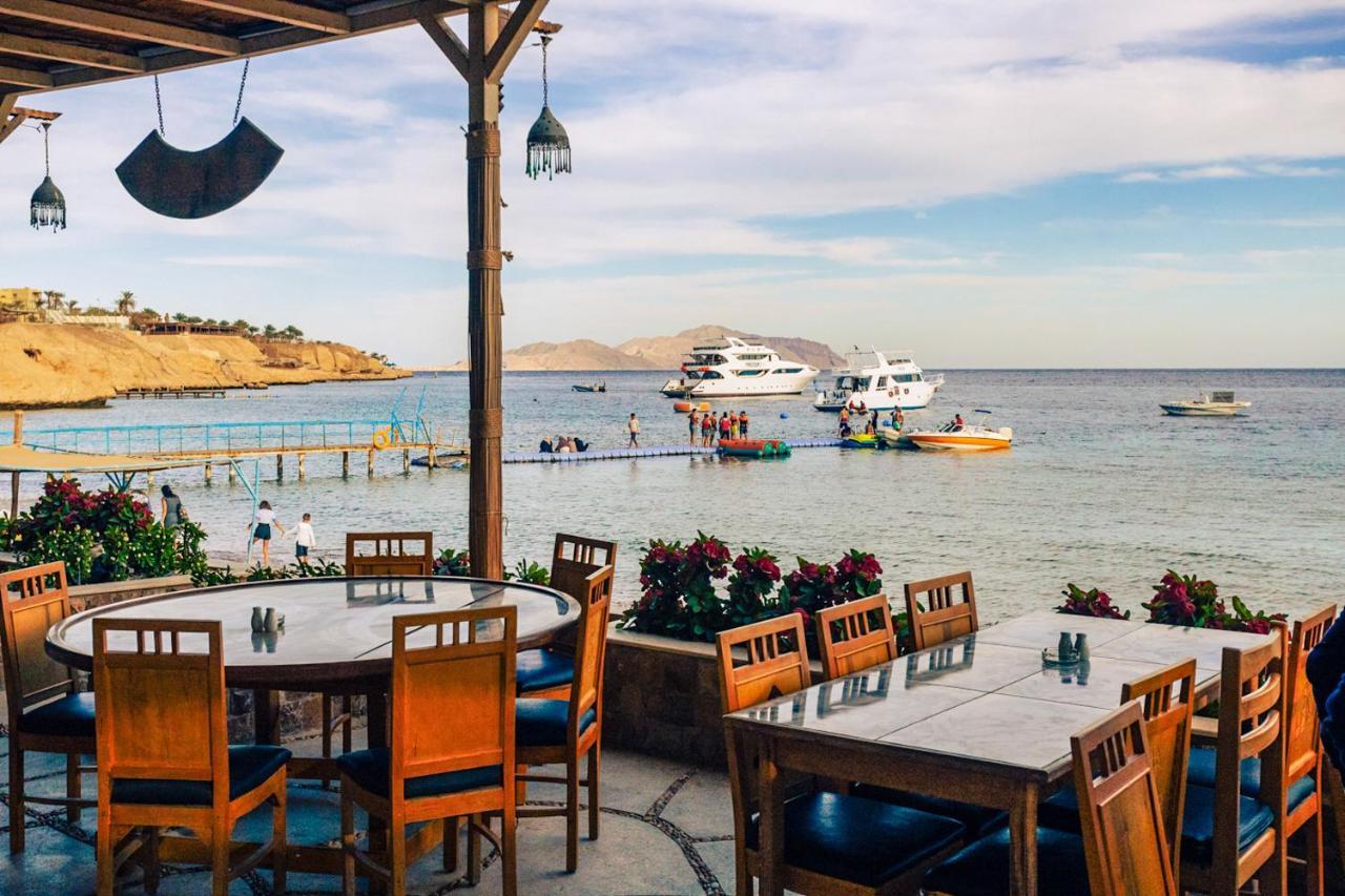 Umbi Sharks Bay Diving Village Шарм-еш-Шейх Екстер'єр фото