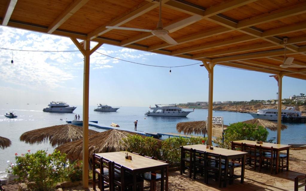 Umbi Sharks Bay Diving Village Шарм-еш-Шейх Екстер'єр фото