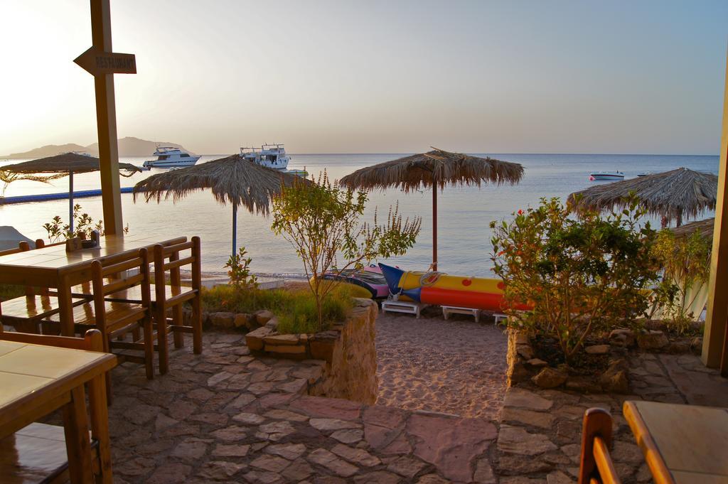 Umbi Sharks Bay Diving Village Шарм-еш-Шейх Екстер'єр фото